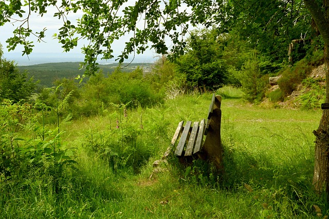 太阳报：库尼亚妻子比他年长6岁，两人相恋8年育有两个孩子
