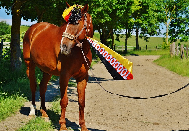 韩足晚报（2025.11.28）职业联盟“咨询”遭婉拒