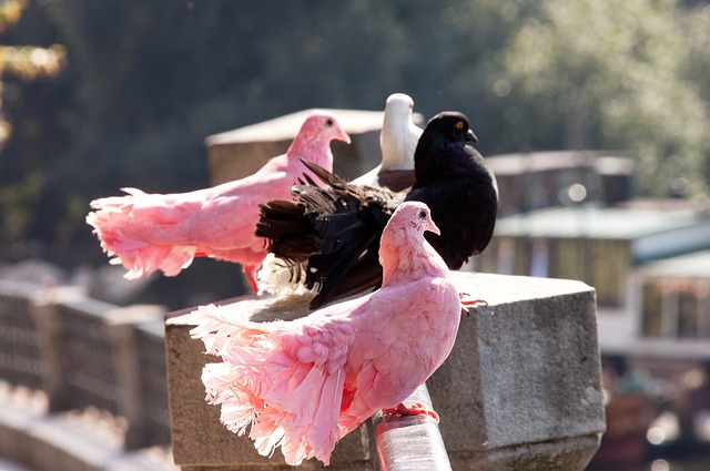 克林斯曼：看好葡萄牙夺得世界杯；希望内马尔为巴西出战