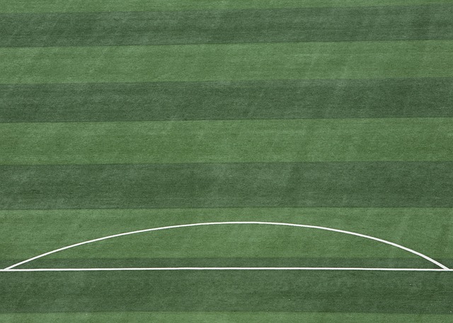 河北日报｜全国第十二届残运会举重比赛和射击比赛结束 河北运动员获14金13银6铜