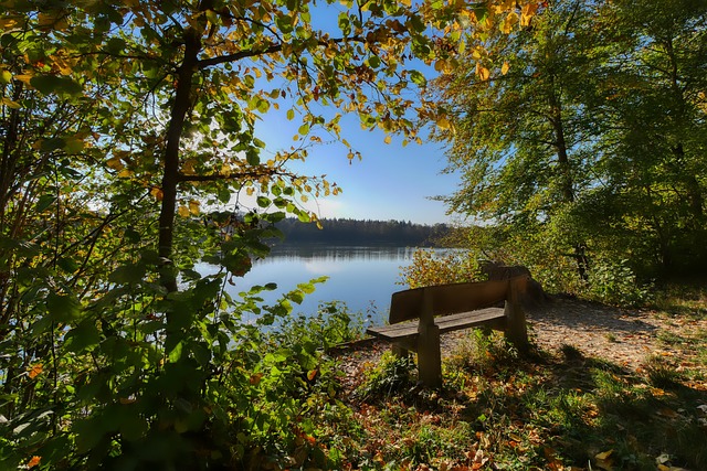 德国U21主帅：卡尔是多面手，希望他把在拜仁的表现带到国家队