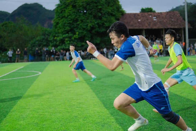 的違紀行為 的違紀行為