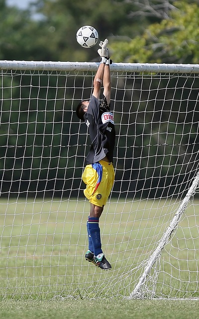 宝贵的一张 宝贵的一张