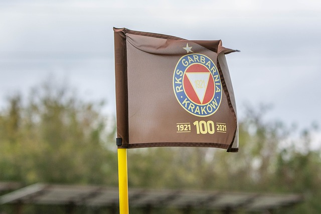 的技術凸顯 的技術凸顯