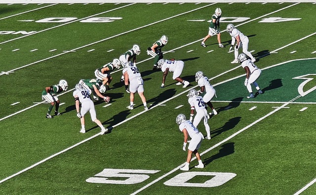 入巨资引入 入巨资引入