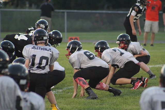 贝林厄姆的 贝林厄姆的