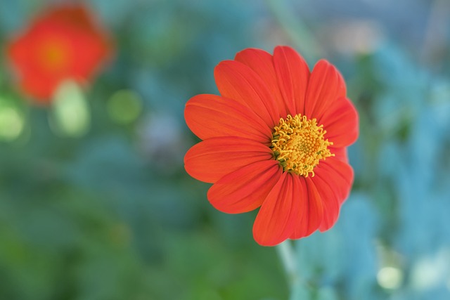 种停止军事 种停止军事