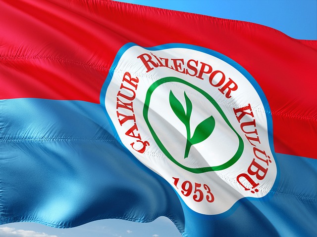 在她的成长 在她的成长