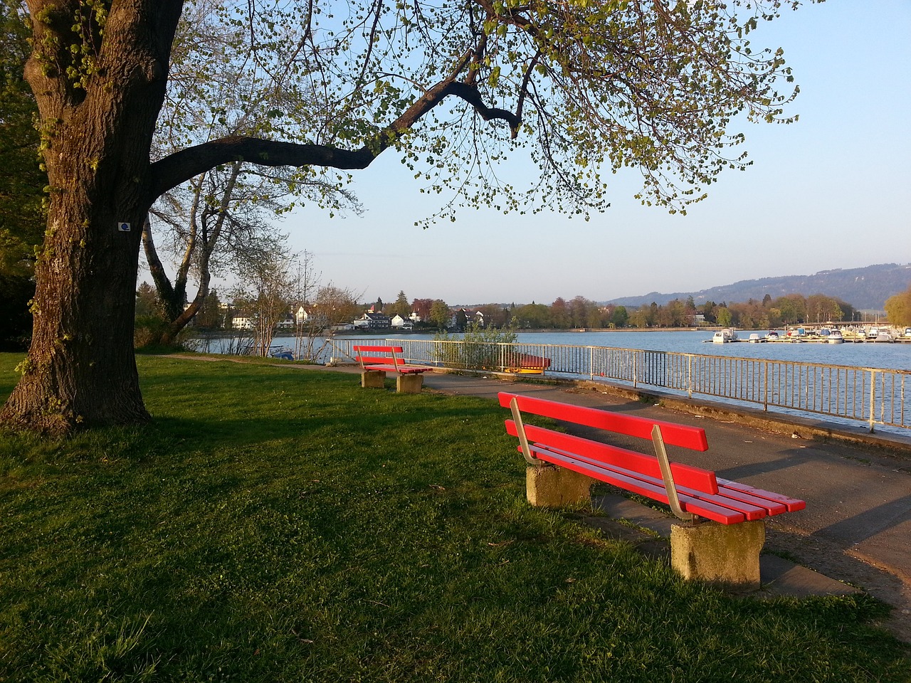 忘的比赛场 忘的比赛场