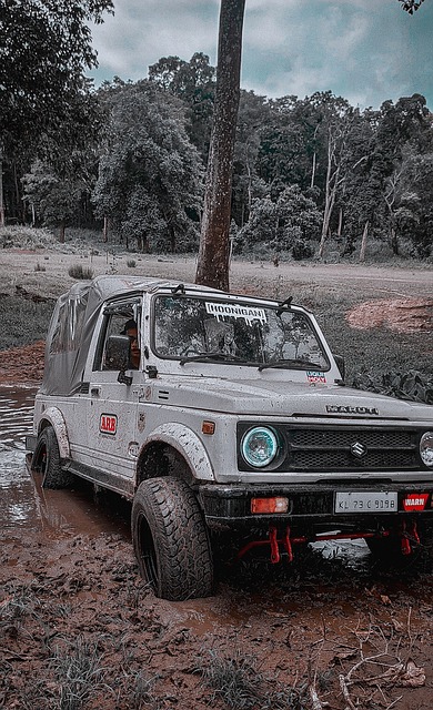 受伤病困扰 受伤病困扰